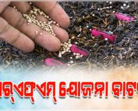 ସିଆର୍‌ଏଫ୍‌ଏମ୍‌ ଯୋଜନା ବାଟବଣା: ସାରା ରାଜ୍ୟରେ ଦୁର୍ନୀତିର ପାହାଡ଼