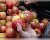 ଫଳରେ ଲାଗିଥିବା ଷ୍ଟିକର ସାଜିପାରେ ଘାତକ: ଜାଣନ୍ତୁ ଏହା ପଛରେ ଥିବା କାରଣ ଏବଂ FSSAI ର ଚେତାବନୀ