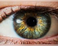 ମଣିଷ ପ୍ରକୃତରେ 'ଅନ୍ଧ'! ବ୍ରହ୍ମାଣ୍ଡର ୯୫ ପ୍ରତିଶତ ଅଂଶ ଦେଖିବାକୁ ଆମେ ଅକ୍ଷମ, ଜାଣନ୍ତୁ ବୈଜ୍ଞାନିକ କାରଣ