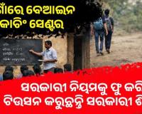 ଗାଁ ଗାଁରେ ବେଆଇନ କୋଚିଂ ସେଣ୍ଟର: ସରକାରୀ ନିୟମକୁ ଫୁ କରି ଟିଉସନ କରୁଛନ୍ତି ସରକାରୀ ଶିକ୍ଷକ