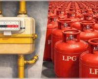 ପିଏନଜି କନେକ୍ସନ ନେଇଥିଲେ ଏଲପିଜି ମନା, ସବୁ ସହରାଞ୍ଚଳରେ ପିଏନଜି ବାଧ୍ୟତାମୂଳକ: ଯୋଗାଣ ମନ୍ତ୍ରୀ