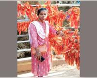 ଜନଗଣନା କରିବାକୁ ଯାଇ ଶିକ୍ଷୟିତ୍ରୀ ନିଖୋଜ, ତିନି ଦିନ ହେଲା ମିଳୁନି ପତ୍ତା