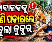 ଗଞ୍ଜାମରେ ଅଭାବନୀୟ ଘଟଣା: ୯ ବର୍ଷର ଶିଶୁପୁତ୍ରକୁ ଝୁଣି ପକାଇଲେ ବୁଲା କୁକୁର 
