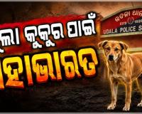 ଛେଳିକୁ ଆକ୍ରମଣ କଲା ବୁଲା କୁକୁର, ହେଲେ ମାଡ ଖାଇଲେ ବିଧବା ମହିଳା ଏବଂ ଦିବ୍ୟାଙ୍ଗ ଝିଅ