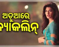 'ସୁକେଶଙ୍କ ସହ ସାମିଲ ଥିଲେ ଜ୍ୟାକଲିନ୍': ୨୦୦ କୋଟି ଟଙ୍କାର ଠକେଇ ମାମଲାରେ ଅଭିନେତ୍ରୀଙ୍କୁ 'ପୀଡ଼ିତା' ବଦଳରେ 'ଅଭିଯୁକ୍ତ' କହିଲେ କୋର୍ଟ