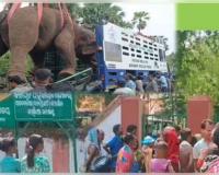 ଅନୁଗୁଳର ନରହନ୍ତା ଦନ୍ତାକୁ ସାତକୋଶିଆରେ ଛାଡିବାକୁ ସ୍ଥାନୀୟ ଅଞ୍ଚଳରେ ବିରୋଧ 