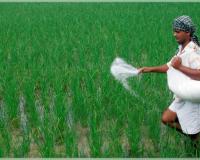 ଓଡ଼ିଶାରେ ସାର ସମବାୟ ସମିତି ପାଇଁ ୪୨ କୋଟି ଟଙ୍କାର ସୁଧ ରିହାତି ଯୋଜନା ଅନୁମୋଦିତ