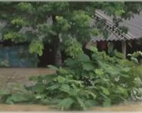 ବୁଢ଼ାବଳଙ୍ଗ ନଦୀରେ ବନ୍ୟା, ବାଲେଶ୍ବରର ୧୨ଟି ବ୍ଲକର ୩୫୭ଟି ଗାଁ ପ୍ରଭାବିତ