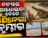 ଯାଜପୁରରେ କୁମ୍ଭୀର ଆତଙ୍କ: ଖରସ୍ରୋତା ନଦୀରେ ଗାଧୋଇବା ବେଳେ ଟାଣିନେଲା କୁମ୍ଭୀର, ଉଦ୍ଧାର କାର୍ଯ୍ୟ ଜାରି