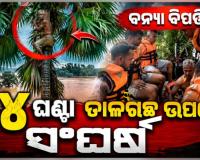 ଭଦ୍ରକରେ ବନ୍ୟା ବିପତ୍ତି: ୨୪ ଘଣ୍ଟା ଧରି ତାଳଗଛ ଉପରେ ଫସି ରହିବା ପରେ ଚାଷୀଙ୍କୁ ଉଦ୍ଧାର କଲା ଓଡ୍ରାଫ୍ ଟିମ୍