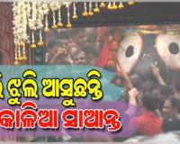 ଝୁଲି ଝୁଲି ବଡ଼ଦାଣ୍ଡକୁ ଆସୁଛନ୍ତି ମହାବାହୁ; ନନ୍ଦିଘୋଷ ରଥରେ ବସି ମାଉସୀ ଘରକୁ ଯିବେ କାଳିଆ ସାଆନ୍ତ 
