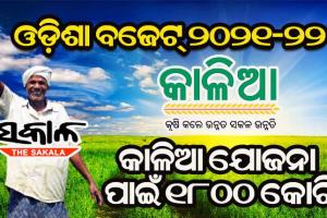 ରାଜ୍ୟ ବଜେଟ୍‌ ୨୦୨୧-୨୨ : କୃଷି ପାଇଁ ୨୦ ହଜାର କୋଟି ଟଙ୍କାର ବ୍ୟୟ ବରାଦ