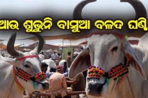 ଆଉ ଶୁଭୁନି ବାସୁଆ ବଳଦ ଘଣ୍ଟି