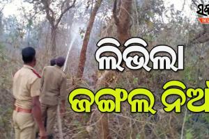 ଶିମିଳିପାଳ ଓ ରାଜ୍ୟର ଅନ୍ୟ ଜଙ୍ଗଲରେ ଲାଗିଥିବା ନିଆଁ ସମ୍ପୂର୍ଣ୍ଣ ଆୟତ୍ତାଧୀନ : ଫରେଷ୍ଟ ଟାସ୍କଫୋର୍ସ
