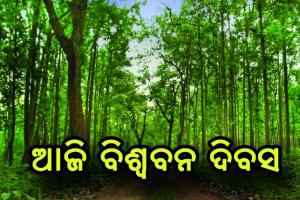 ଆଜି ବିଶ୍ବ ବନ ଦିବସ