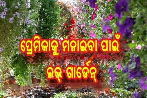 ପ୍ରେମିକାକୁ ମନାଇବା ପାଇଁ ଲଭ୍‌ ଗାର୍ଡେନ୍‌