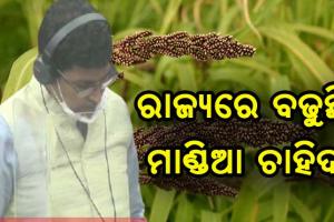 ରାଜ୍ଯରେ ବଢୁଛି ମାଣ୍ଡିଆ ଚାହିଦା, ମନ ଜିଣୁଛି ମିଲେଟ ମିଶନ- କୃଷି ମନ୍ତ୍ରୀ ଅରୁଣ ସାହୁ
