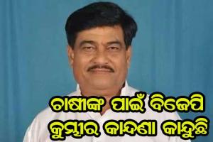 ଚାଷୀଙ୍କ ଧାନ କିଣିବା ପାଇଁ କେନ୍ଦ୍ର ସରକାର ଇଛୁକ ନୁହନ୍ତି, ବିଜେପି କୁମ୍ଭୀର କାନ୍ଦଣା କାନ୍ଦୁଛି- ମନ୍ତ୍ରୀ ରଣେନ୍ଦ୍ର ପ୍ରତାପ ସ୍ଵାଇଁ