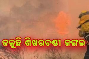 ଶିଖରଚଣ୍ଡୀ ଜଙ୍ଗଲରେ ନିଆଁ