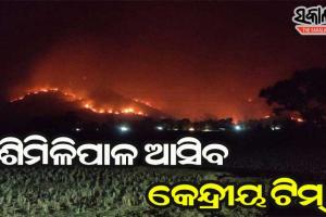 ଆସନ୍ତାକାଲି ଶିମିଳିପାଳ ଆସିବ କେନ୍ଦ୍ରୀୟ ଟିମ୍, ନିଆଁ ଲାଗିଥିବା ସ୍ଥାନରେ କରିବେ ସମୀକ୍ଷା‌