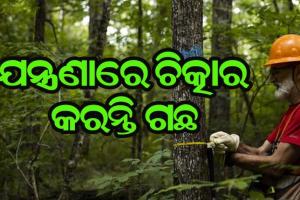 ଯନ୍ତ୍ରଣାରେ ଚିତ୍କାର କରନ୍ତି ଗଛ