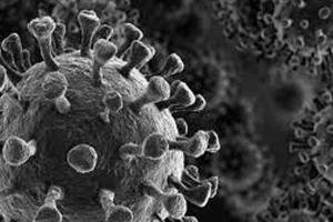 ବ୍ଲାକ୍ ଫଙ୍ଗସ୍‌ ପଛରେ ଷ୍ଟେରଏଡ୍‌ର ଭୂମିକା!