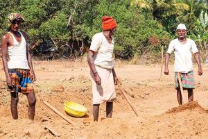 କରୋନା ବେଳେ ରୋଜଗାର ଦେଲା ମନରେଗା ଯୋଜନା