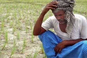 ପିଏମ୍‍-କିସାନ ସହାୟତାରୁ ରାଜ୍ୟର ୧୪ ଲକ୍ଷ ଚାଷୀ ବଞ୍ଚିତ