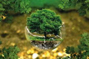 ଜଳବାୟୁ କାର୍ଯ୍ୟକ୍ରମ ‘ରୂପାୟଣ’ : ‘ନିତି’ ଆୟୋଗର ନିରନ୍ତର ବିକାଶ ସୂଚକାଙ୍କରେ ଓଡ଼ିଶା ଦେଶରେ ଶ୍ରେଷ୍ଠ