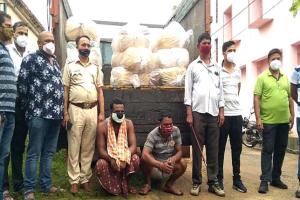 ପଶ୍ଚିମବଙ୍ଗକୁ ଚାଲାଣ ହେଉଥିଲା ଗଞ୍ଜେଇ: ଟ୍ରକ୍ ସହ ଅଢେଇ କୁଇଣ୍ଟାଲ ଗଞ୍ଜେଇ ଜବତ,  ଚାଳକ ଓ ହେଲପର ଗିରଫ