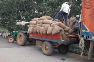 କାୟା ମେଲାଉଛି ଅସାଧୁ ଧାନ କାରବାର, ଘରୁ ଓ ଖଳାରୁ ଉଠୁଛି ଟ୍ରକ ଟ୍ରକ ଧାନ