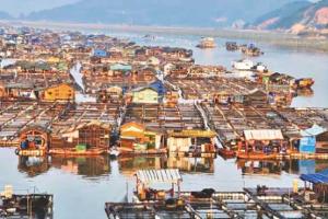 ଆସନ୍ତୁ ଜାଣିବା ଏପରି ଏକ ଗାଁ ବିଷୟରେ ଯେଉଁଠାରେ ସବୁ ଲୋକ ପାଣିରେ ରୁହନ୍ତି………