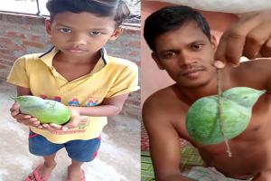 ଚଢେଇ ଆକୃତିର ଆମ୍ବ ଦେଖିବାକୁ ଲୋକଙ୍କ ମଧ୍ୟରେ ଭିଡ