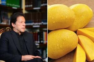 ଫେଲ୍ ମାରିଲା ପାକିସ୍ତାନର ‘ଆମ୍ବ କୂଟନୀତି’, ଉପହାର ପଠାଯାଇଥିବା ଆମ୍ବକୁ ଗ୍ରହଣ କଲାନି ଚୀନ ଓ ଆମେରିକା