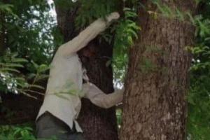 କରୋନା ଟିକା ନନେବା ପାଇଁ ଆଧାର କାର୍ଡ ଧରି ଗଛ ଉପରେ ଚଢ଼ିଗଲେ ଯୁବକ