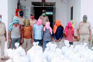 ମୁନିଗୁଡା ପୋଲିସ ଦ୍ୱାରା ୭ କୁଇଣ୍ଟାଲ ୮୦ କେଜି ଗଞ୍ଜେଇ ଜବତ, ୬ ଗିରଫ