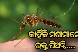 ମଶାମାନେ କାହିଁକି ରକ୍ତ ଶୋଷି ଥାନ୍ତି, ଜାଣନ୍ତୁ କାରଣ….