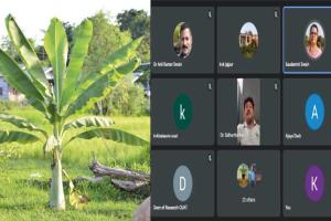 ଓୟୁଏଟିରେ ଉନ୍ନତ କଦଳୀ ଚାଷ ସମ୍ପର୍କିତ ଆଲୋଚନାଚକ୍ର ଆୟୋଜିତ