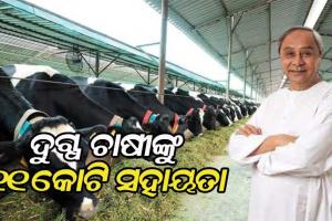 ଦୁଗ୍ଧ ଚାଷୀଙ୍କୁ ମିଳିଲା ମୁଖ୍ୟମନ୍ତ୍ରୀଙ୍କ ସ୍ୱତନ୍ତ୍ର କୋଭିଡ ସହାୟତା, ୧ ଲକ୍ଷ ଦୁଗ୍ଧ ଚାଷୀ ପାଇଲେ ୧୧ କୋଟି ଟଙ୍କାର ସହାୟତା