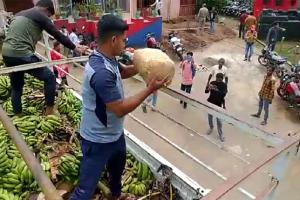 କଦଳୀ ବୋଝେଇ ଗାଡ଼ିରୁ ୧ ଟନ୍ ଗଞ୍ଜେଇ ଜବତ, ୨ ଗିରଫ