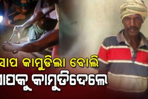 ଆଶ୍ଚର୍ଯ୍ଯ ଜନକ ଘଟଣା: ସାପ କାମୁଡିଲା ବୋଲି ପ୍ରତିଶୋଧ ପରାୟଣ ହୋଇ ଜଣେ ବ୍ଯକ୍ତି ସାପକୁ କାମୁଡି ମାରିଦେବା ସହ ରକ୍ତ ପିଇଦେଲେ