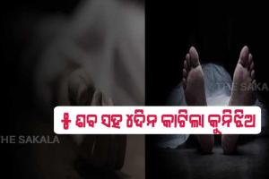 ୫ ଶବ ସହ ୪ଦିନ କାଟିଲା କୁନିଝିଅ