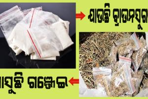 ଯାଉଛି ବ୍ରାଉନସୁଗର, ଆସୁଛି ଗଞ୍ଜେଇ: ନାଇଟକୋଚ୍ ବସ୍ ରେ ହେଉଛି ଚାଲାଣ, ମାଷ୍ଟର ମାଇଣ୍ଡକୁ ଧରୁନି ପୁଲିସ