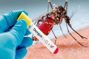 ଦେଶରେ ବ୍ୟାପୁଛି ସେରୋଟାଇପ-୨ ଡେଙ୍ଗୁ: ଓଡିଶା ସମେତ ୧୧ଟି ରାଜ୍ୟକୁ ସତର୍କ ରହିବା ଲାଗି କେନ୍ଦ୍ରର ପରାମର୍ଶ