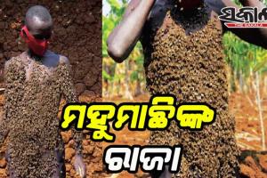 ଅଜବ ସଉକ: ମହୁମାଛିଙ୍କ ରାଜା ନଦିସାବା, ଯିଏ ନିଜ ଶରୀରରେ କରୁଛନ୍ତି ମହୁମାଛି ପାଳନ