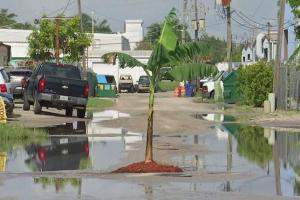 ଦୁର୍ଘଟଣା ରୋକିବା ପାଇଁ ଲୋକମାନେ ମଝିରାସ୍ତାରେ ପୋତିଲେ କଦଳୀ ଗଛ