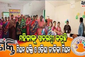 ବୈଷୟିକ ଜ୍ଞାନ କୌଶଳରେ ପ୍ରସ୍ତୁତ ହେବ ବଢି,ପାମ୍ପଡ଼,ଆଚାର, ମସଲା