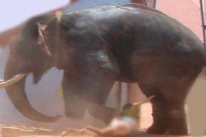 ଟ୍ୟୁସନ ଶିକ୍ଷକଙ୍କୁ ଦଳିଦେଲା ଦନ୍ତା