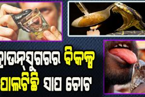 ନିଶାଖୋର ବ୍ୟକ୍ତିଙ୍କ ପାଇଁ ବ୍ରାଉନ୍‌ସୁଗରର ବିକଳ୍ପ ପାଲଟିଛି ସାପ ଚୋଟ, ଅଧିକ ଚୋଟ ଖାଉଛନ୍ତି ଇଞ୍ଜିନିୟରିଂ ଛାତ୍ର