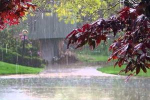 ଦକ୍ଷିଣ ଓଡ଼ିଶାରେ ପ୍ରବଳ ବର୍ଷା ହେବା ନେଇ ସତର୍କ ସୂଚନା ଜାରି